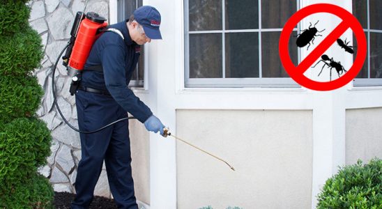Akçakent Karınca İlaçlama böcek ilaçlama ve haşere kontrolü — ilaclama-tr.com